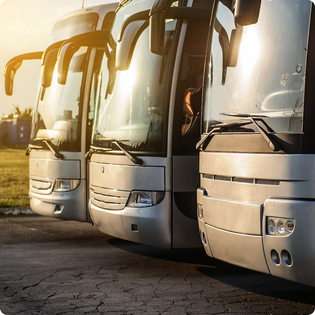 Image of 3 buses